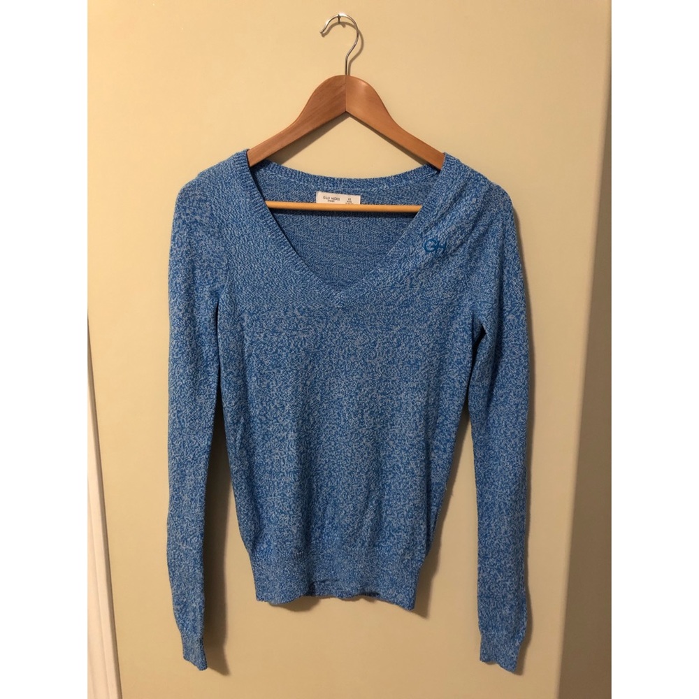 Gilly Hicks Long Sleeve Blue V-Neck Sweater